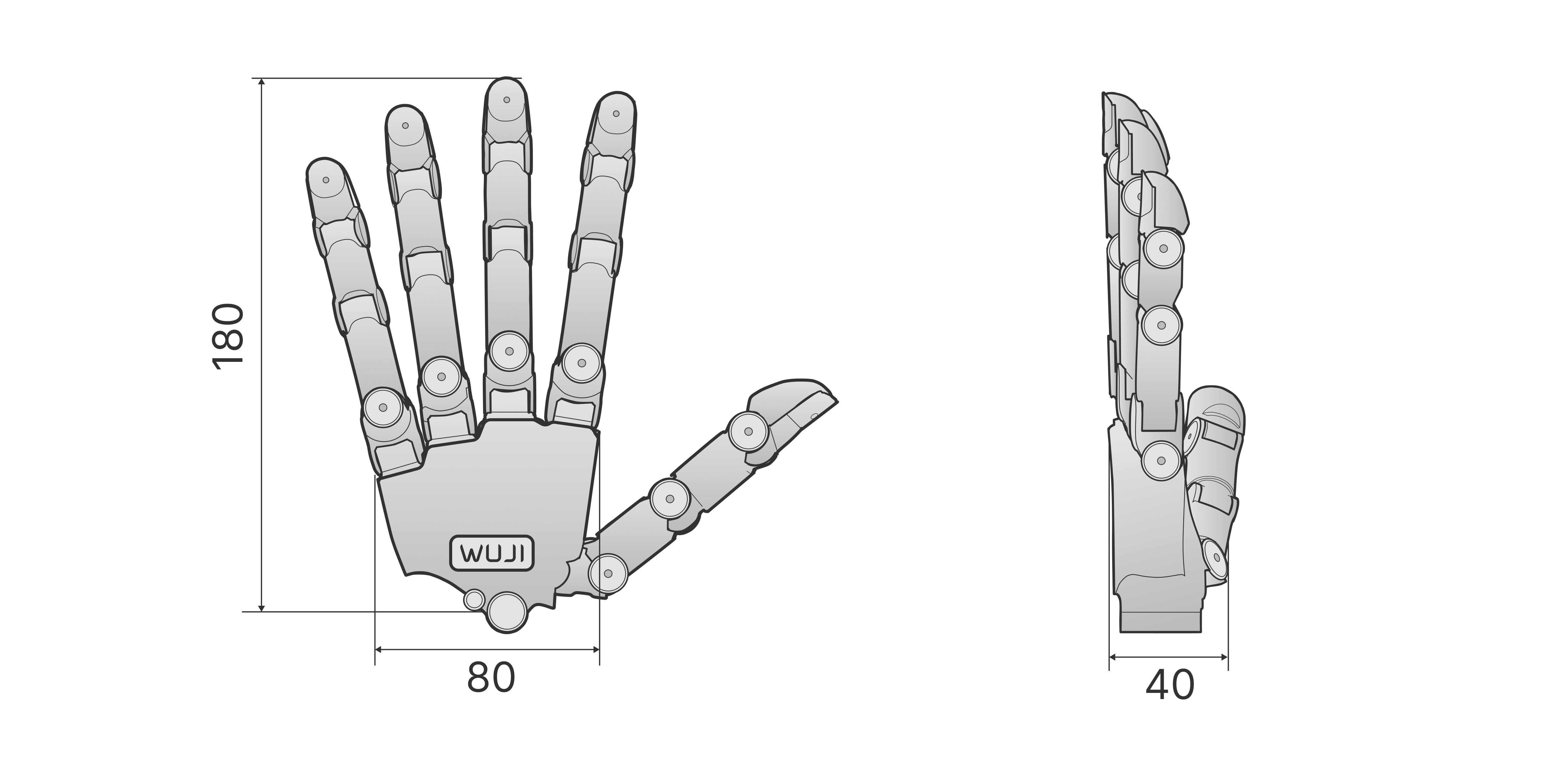 Wuji Hand 2 overall dimensions