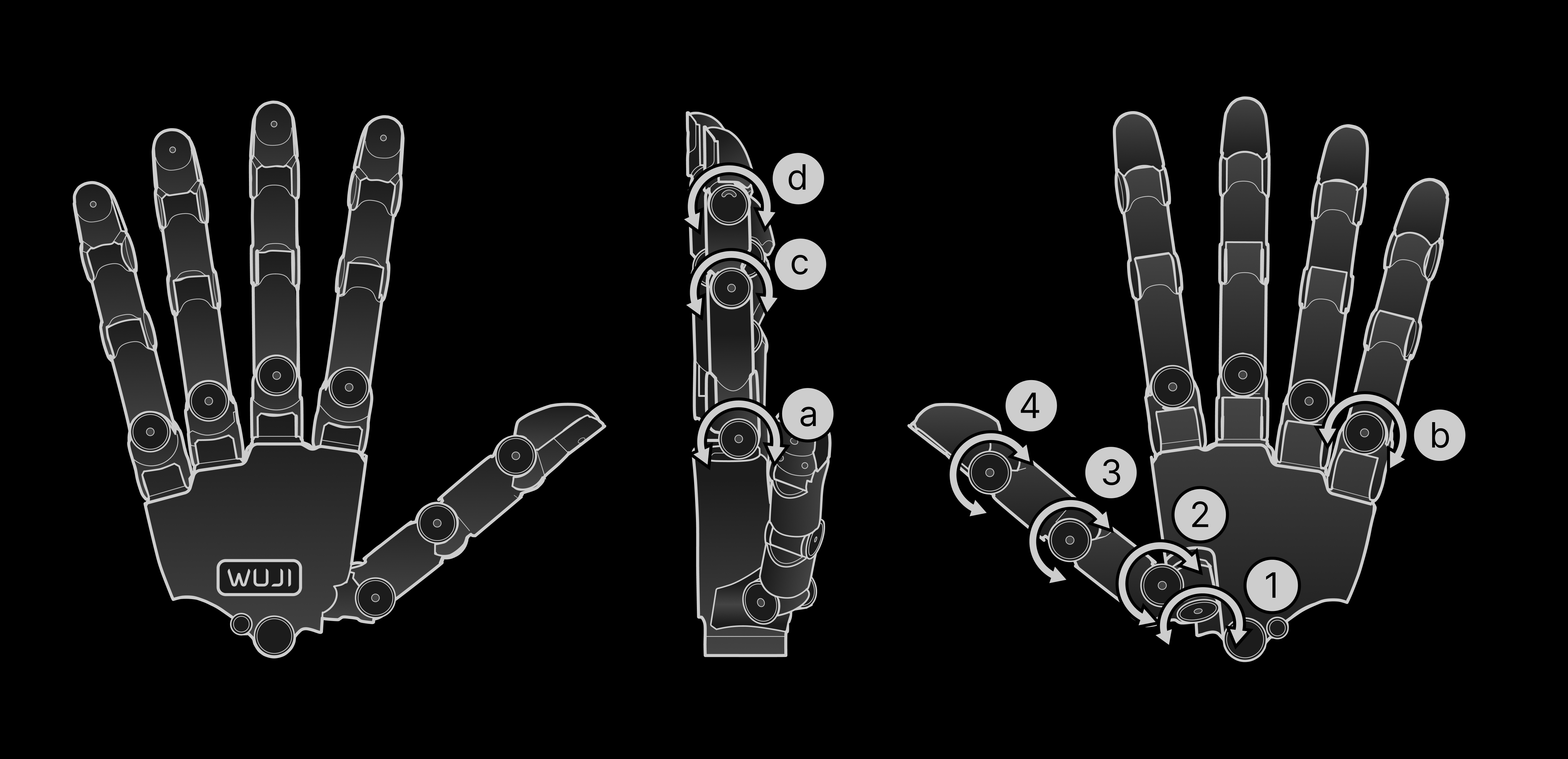 Joint motion direction and range (thumb and little finger as examples)
