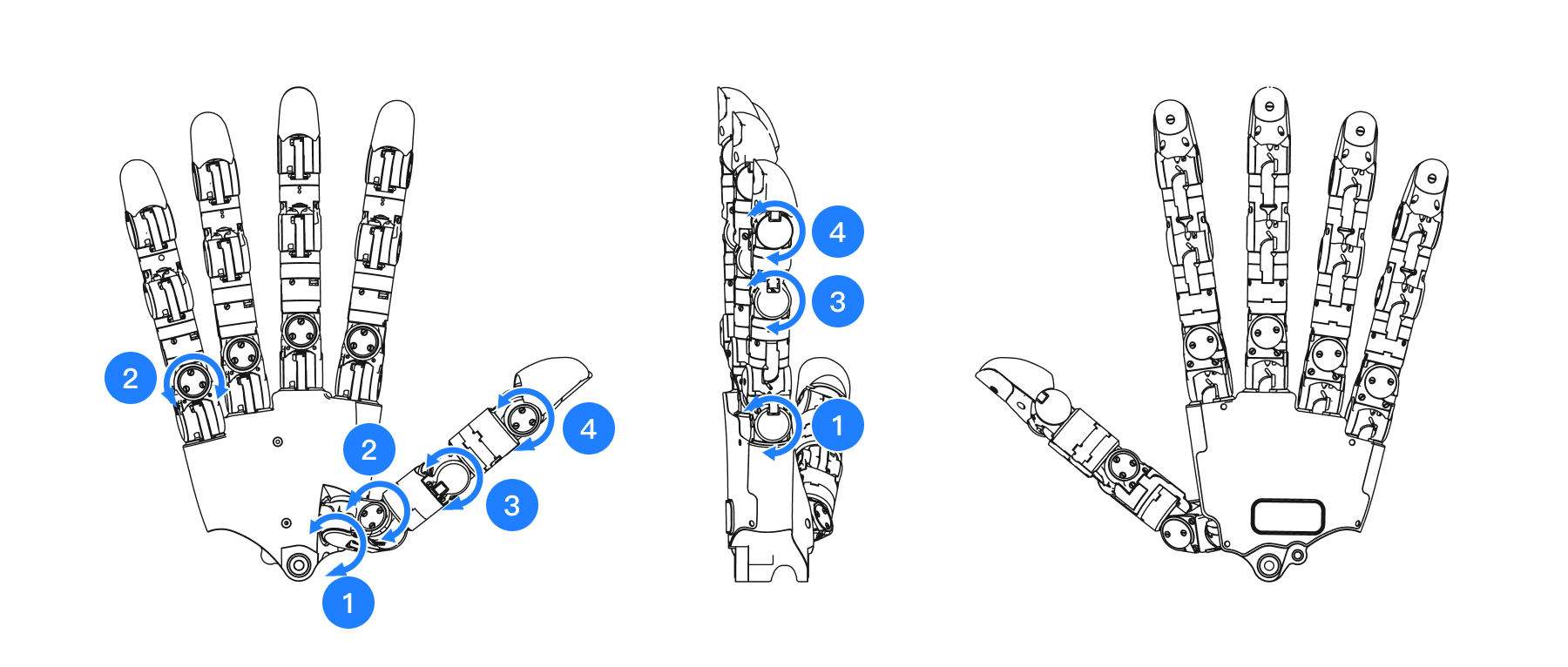 Joint motion direction and range (thumb and little finger as examples)