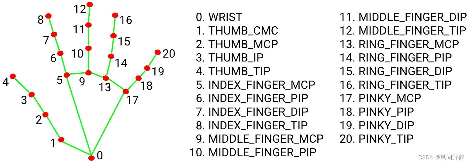 MediaPipe 21 keypoint definition